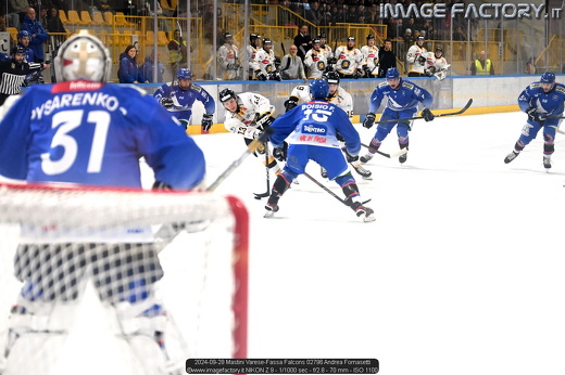 2024-09-28 Mastini Varese-Fassa Falcons 02796 Andrea Fornasetti
